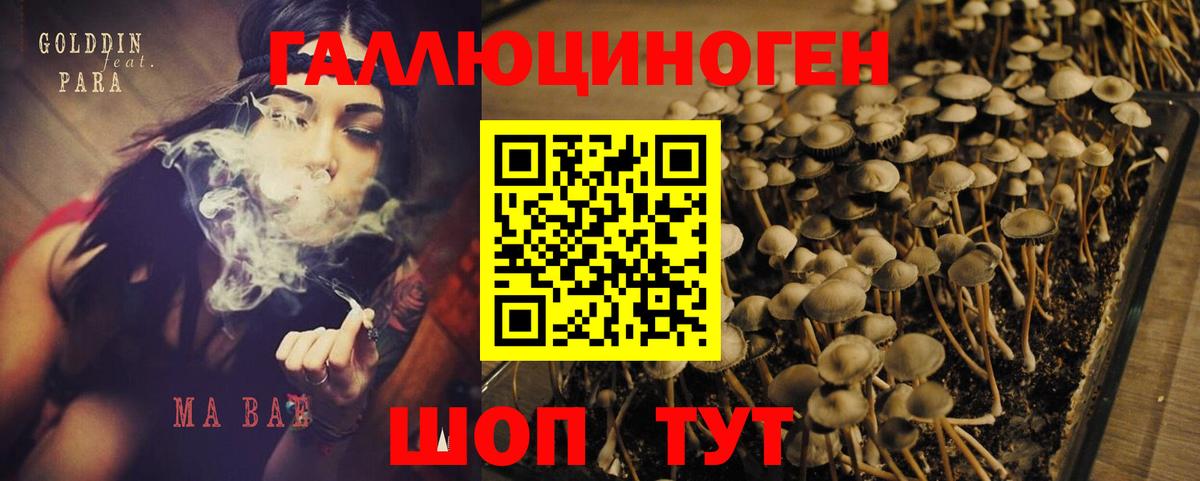 Галлюциногенные грибы ЛСД Муравленко