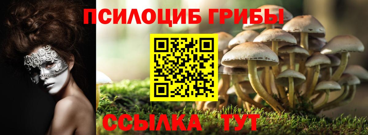 Галлюциногенные грибы ЛСД  Вход с VPN  Муравленко 